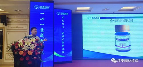 技術塑魂，服務立身 上海網絡技術服務的創新與實踐之路